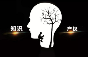 全面啟動知識產權建設 深度挖掘專利發明技術